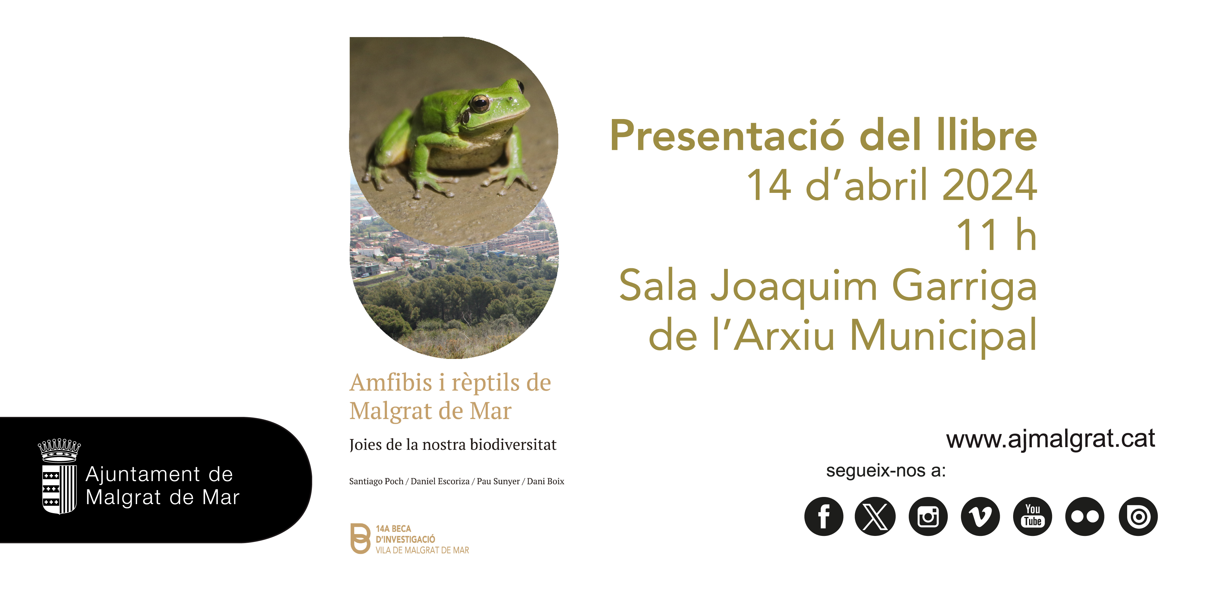 L'Arxiu presenta diumenge el llibre sobre amfibis i rèptils de la 14a Beca d'Investigació