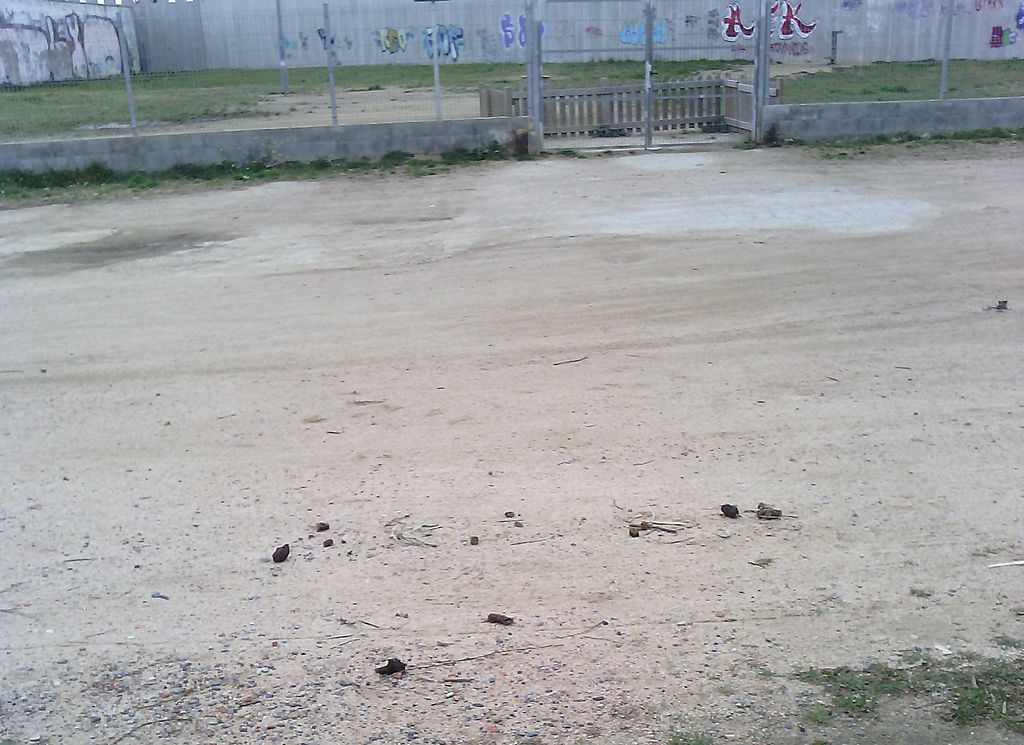 200 fulletons repartits i 15 sancions al primer sector on es porta terme la campanya per fomentar la recollida d'excrements de gos
