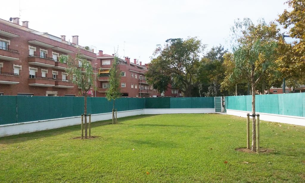 Planten arbres a la piscina municipal perquè hi hagi ombra a l'estiu