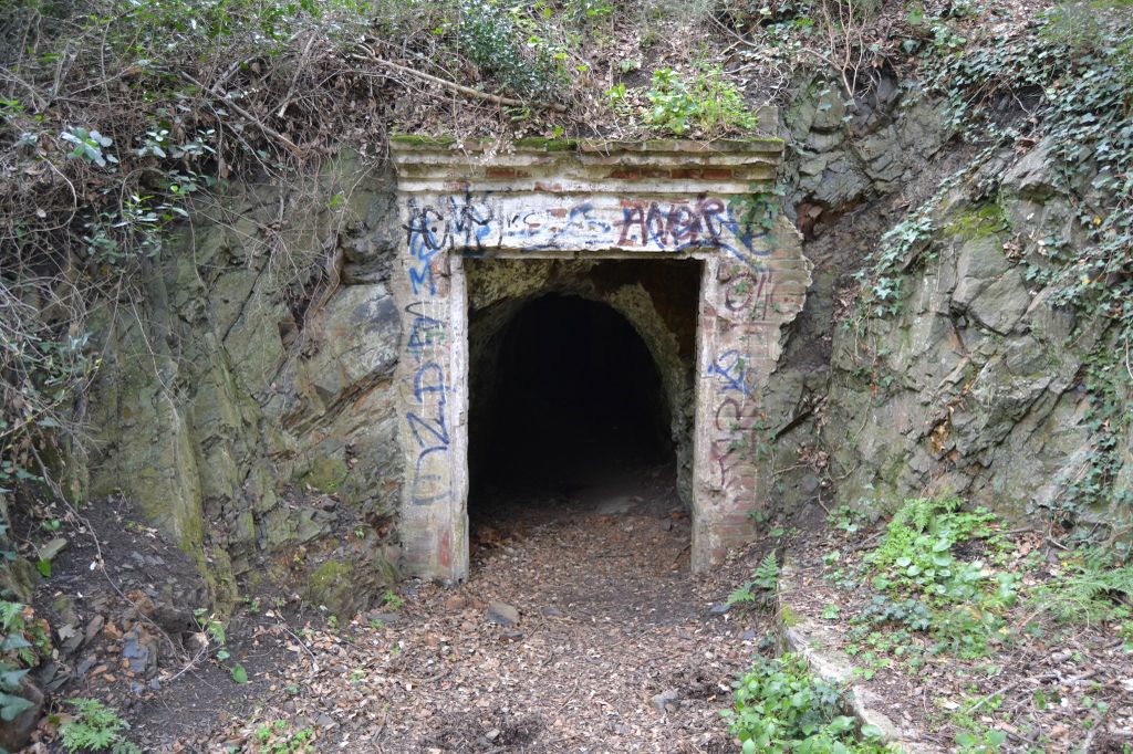 L'Ajuntament catalogarà tots els vestigis de les Mines de Can Palomeres, inclosa La Pilona