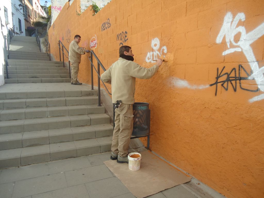 El projecte 