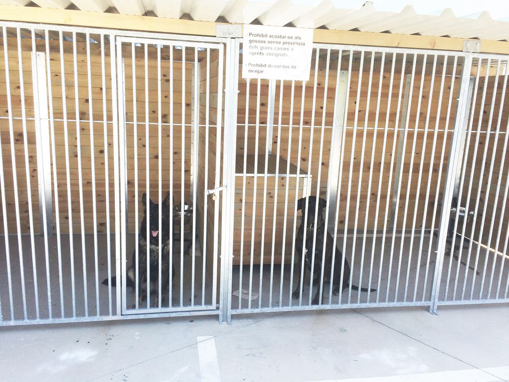 La Policia Local consolida el servei de la unitat canina