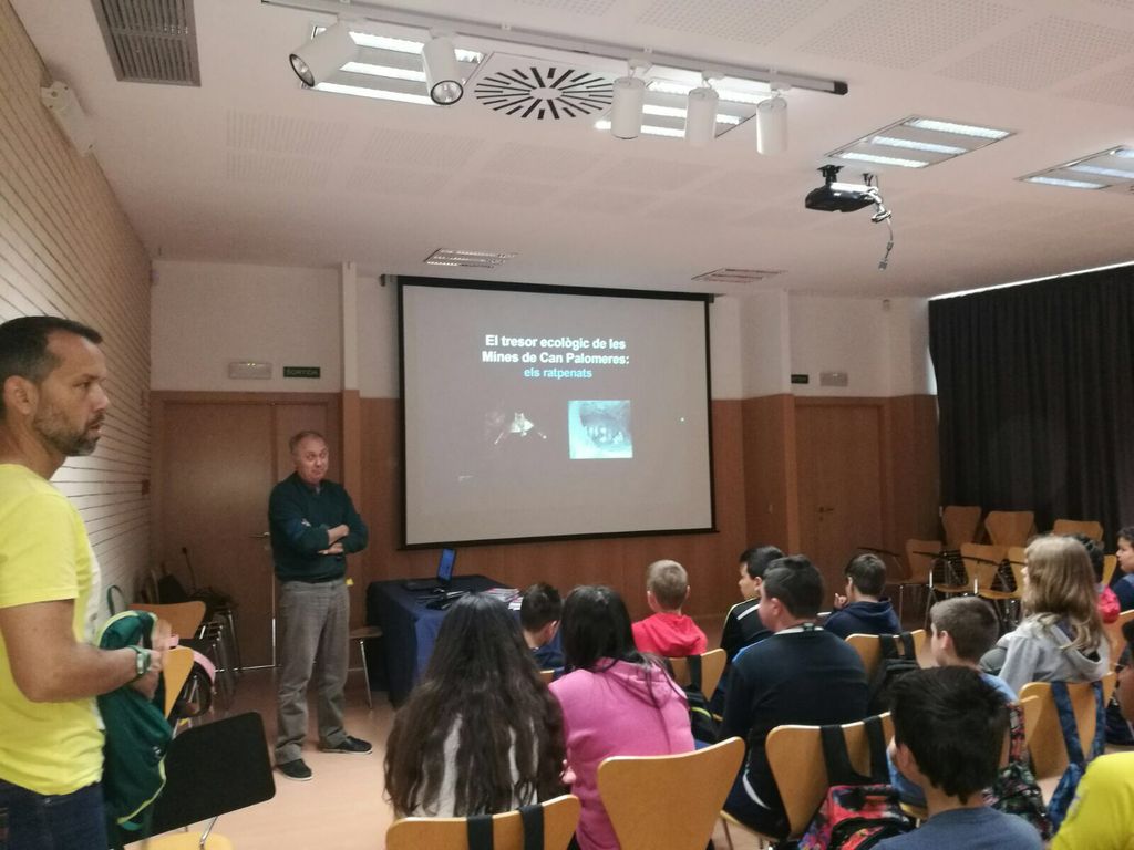 Medi Ambient organitza una xerrada  sobre els ratpenats per a nois i noies de 6è de Primària