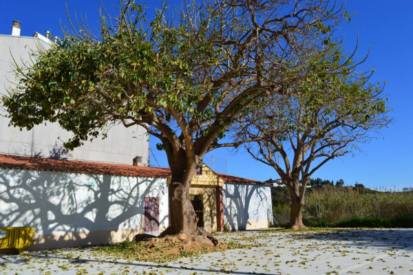 Inauguració de la passera de Can Palomeres, aquest dissabte