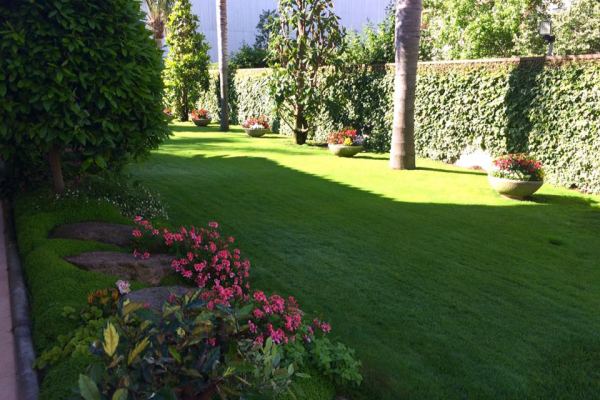 100 veïns i veïnes visitaran 10 patis de cases del poble aquest diumenge amb la 2a Eixida