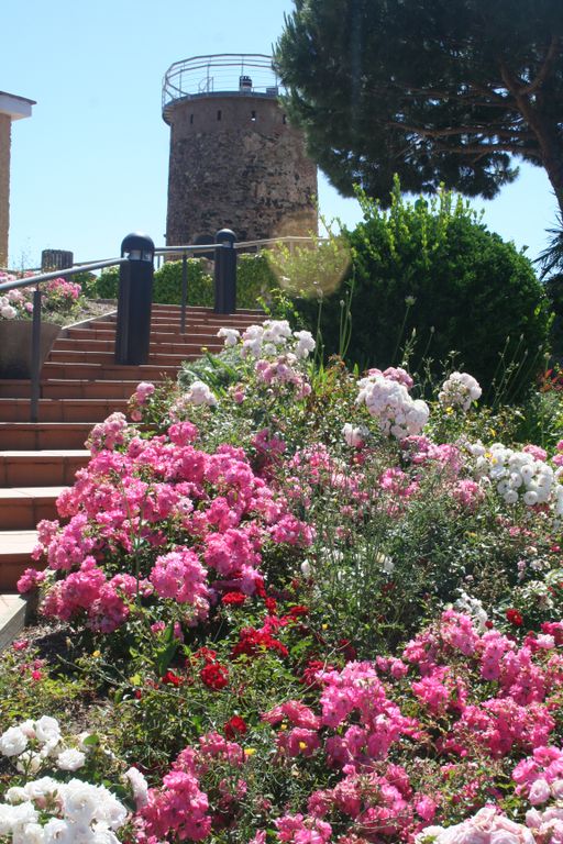 La torre del Castell s'il·luminarà de rosa la nit de dijous en contra del càncer de mama