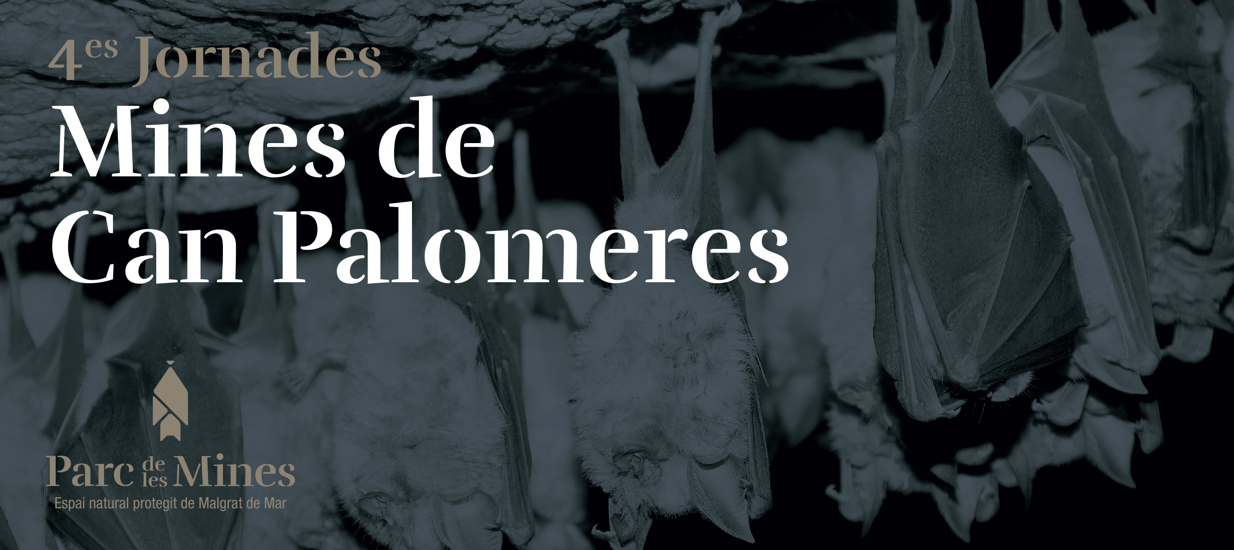 4es Jornades Mines de Can Palomeres, els dies 24 i 25 d'octubre amb La Pilona i les pandèmies com a protagonistes