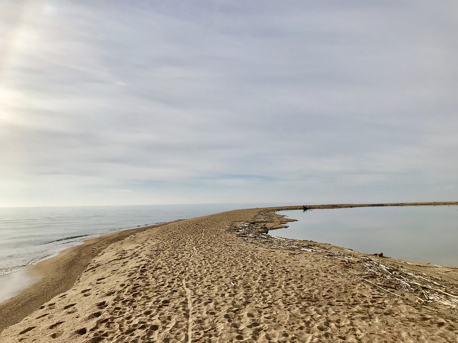 Imatge d'arxiu de la llacuna de la desembocadura de La Tordera. Foto: AjMalgrat.