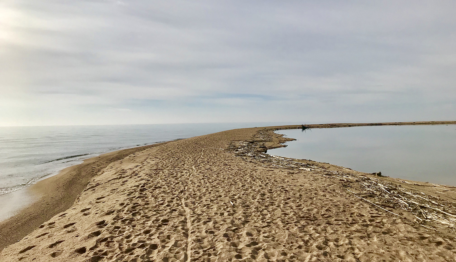 El ple aprova demanar a la Generalitat que declari la desembocadura de la Tordera reserva natural parcial