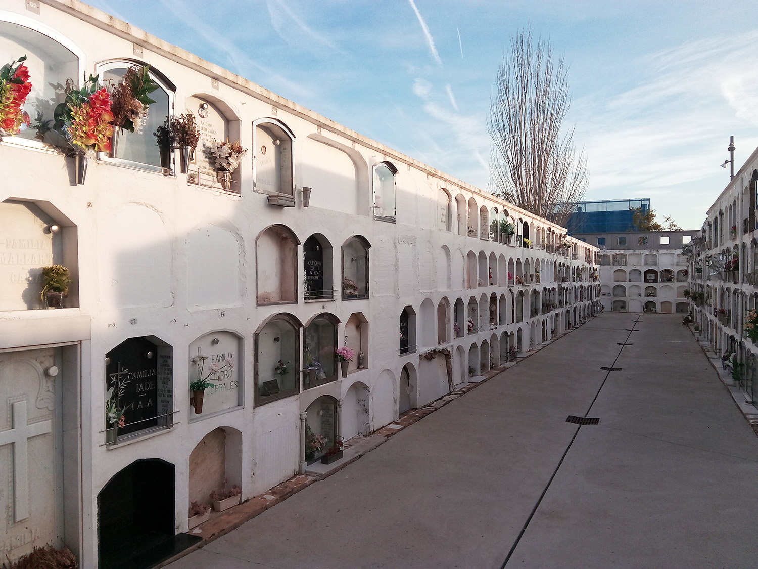 Adjudicades les obres de construcció de nous nínxols al cementiri municipal