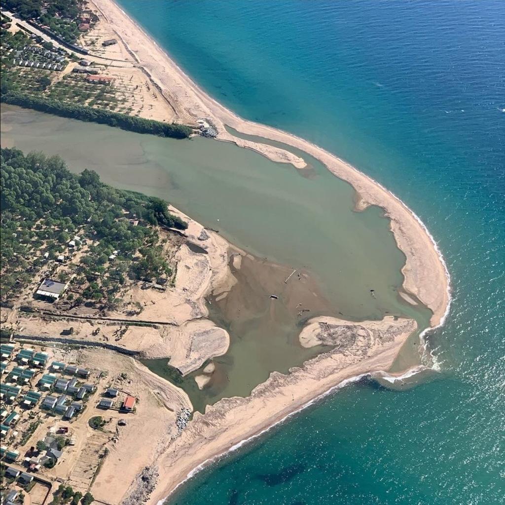 Jornada ornitològica al delta de La Tordera