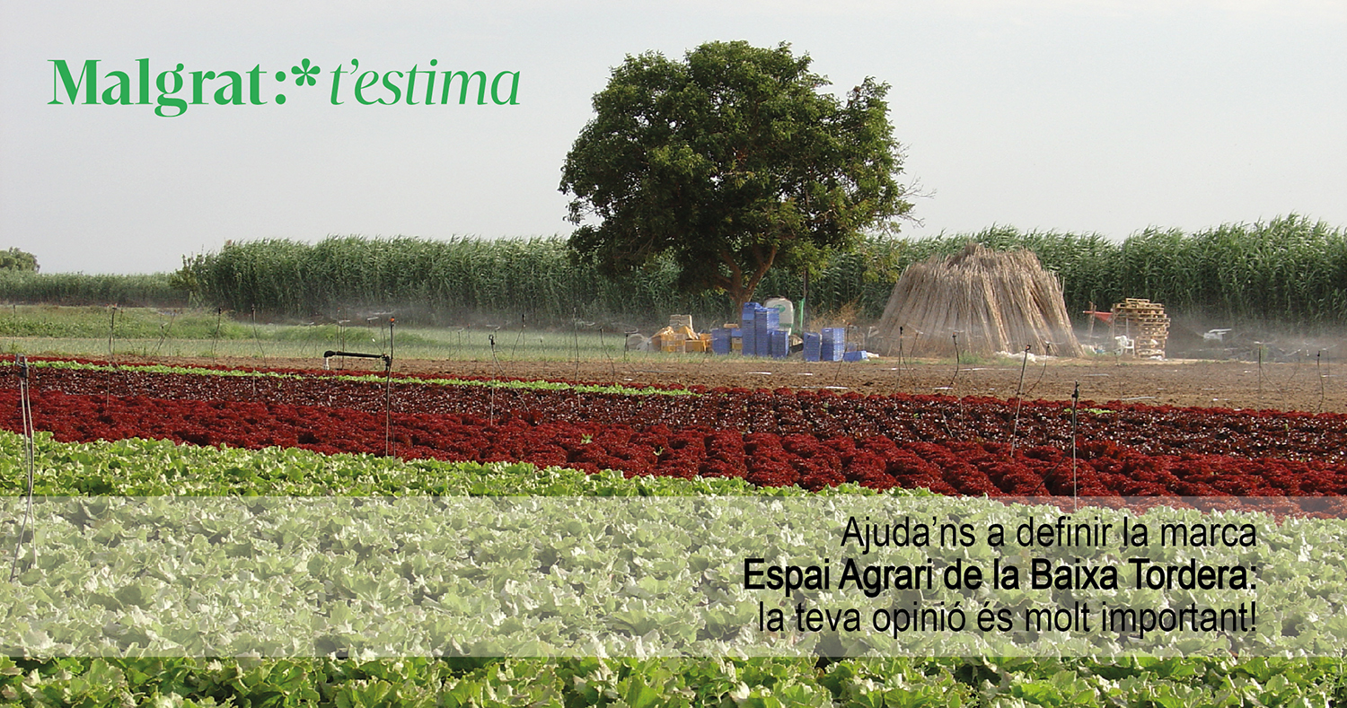L'enquesta és oberta a tota la ciutadania. Foto: AjMalgrat.