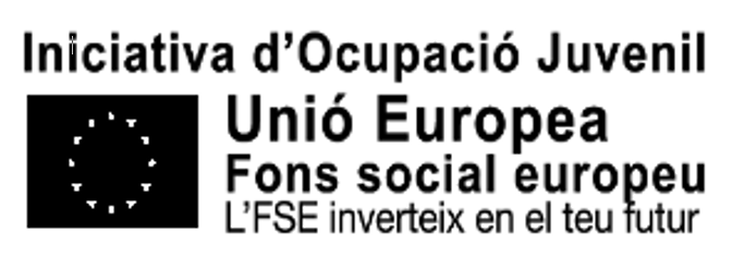 Fons Social Europeu