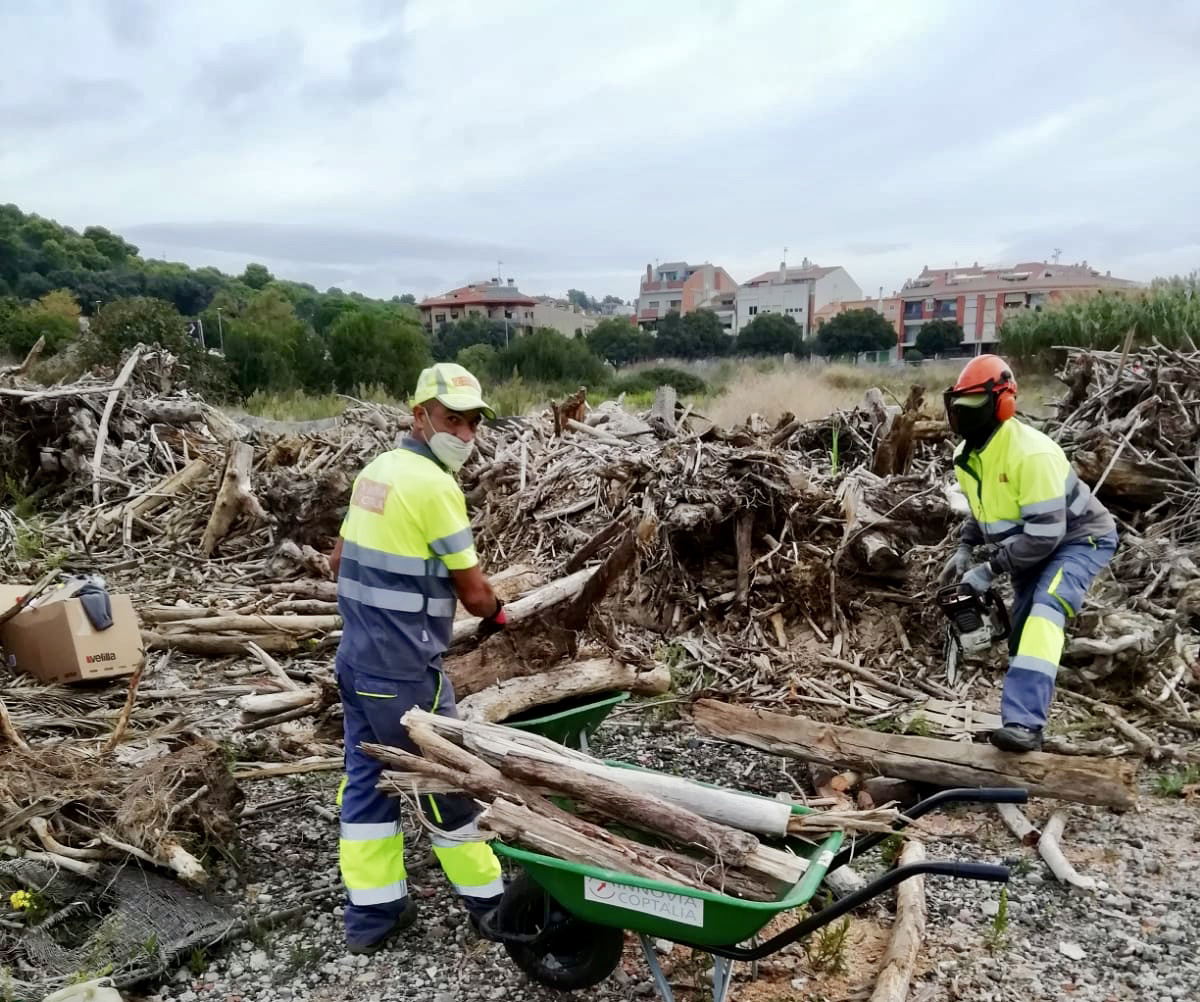 L'Ajuntament habilita un punt de recollida de llenya del Gloria a l'avinguda Costa Brava a Can Palomeres