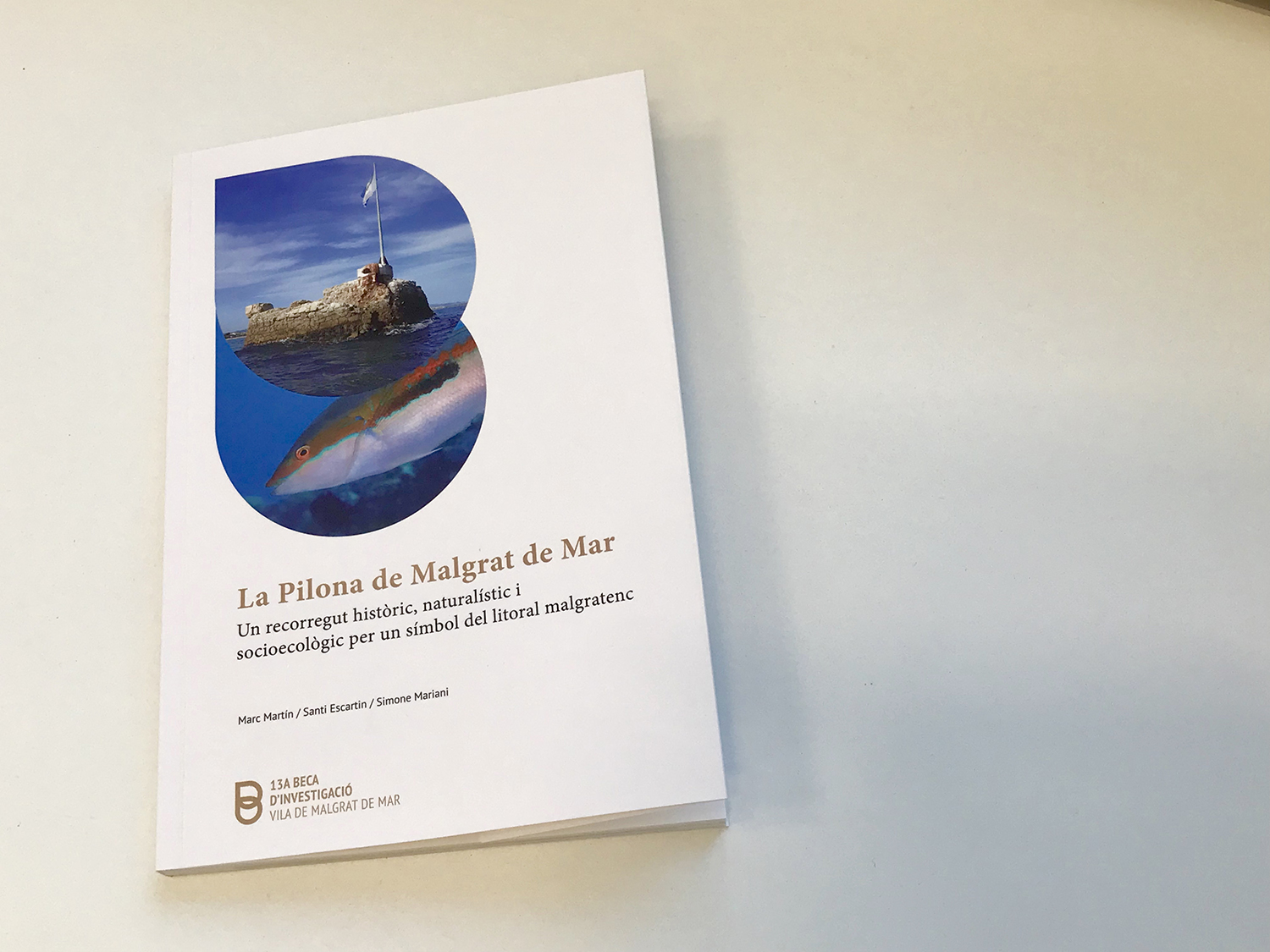Demà es posa a la venda el llibre sobre La Pilona de la 13a Beca d'Investigació