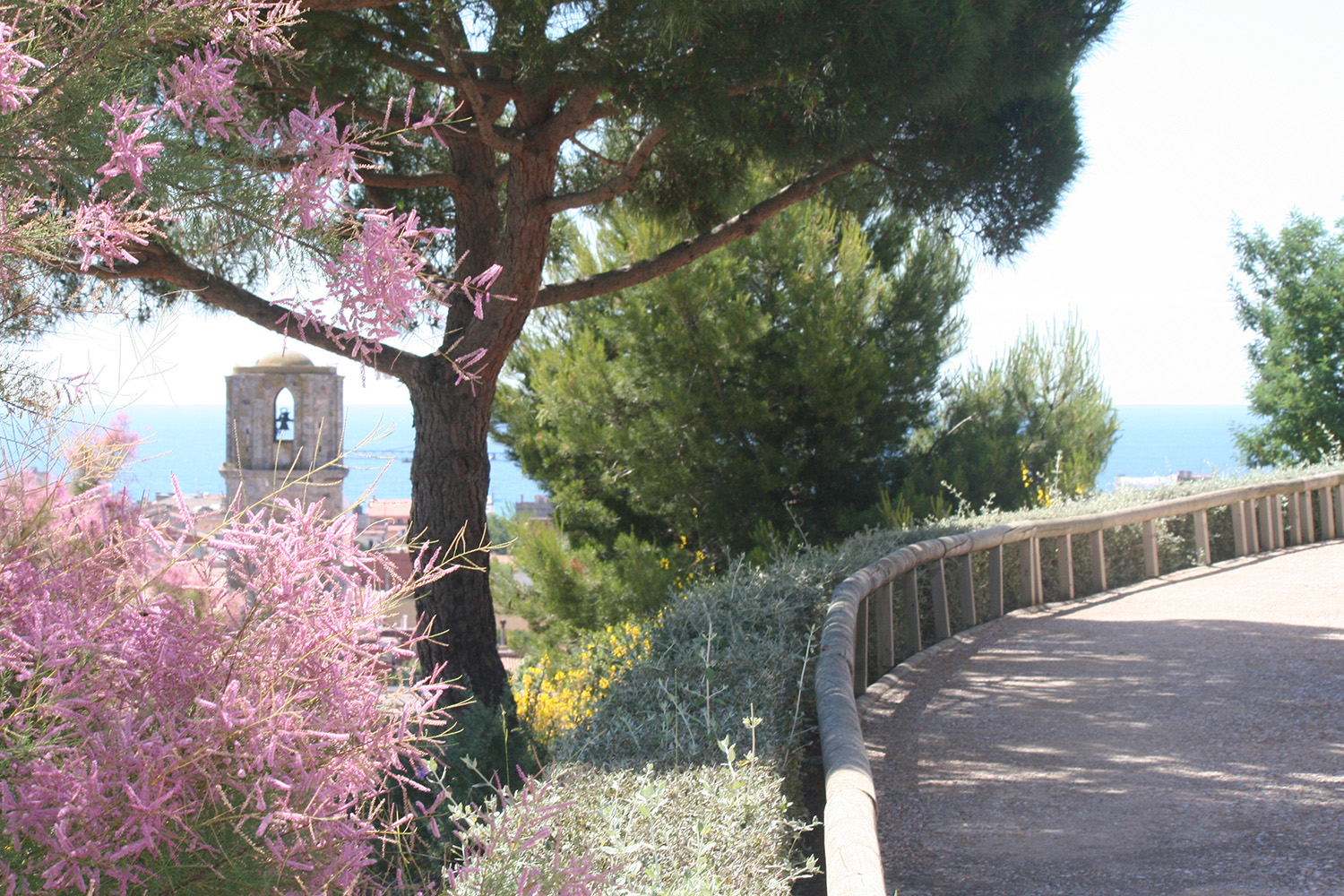 Adjudicat el servei de neteja de parcs i jardins a la Fundació El Molí d'en Puigvert