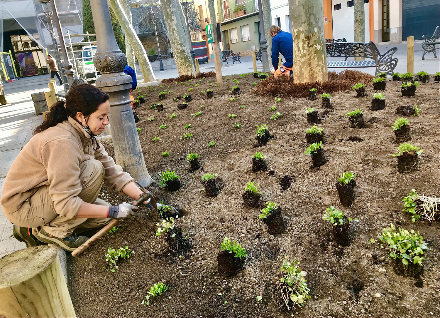 Milloren l'enjardinament de la plaça de l'Església