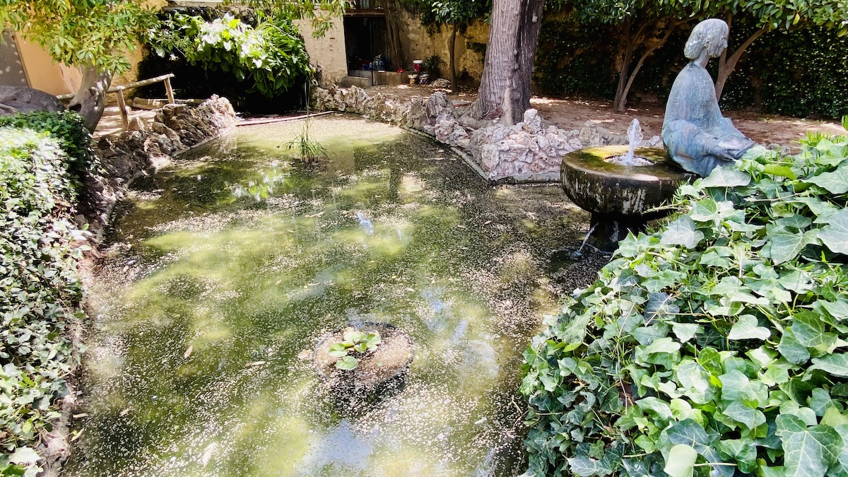 Actuacions de millora de la bassa del Parc de Can Campassol