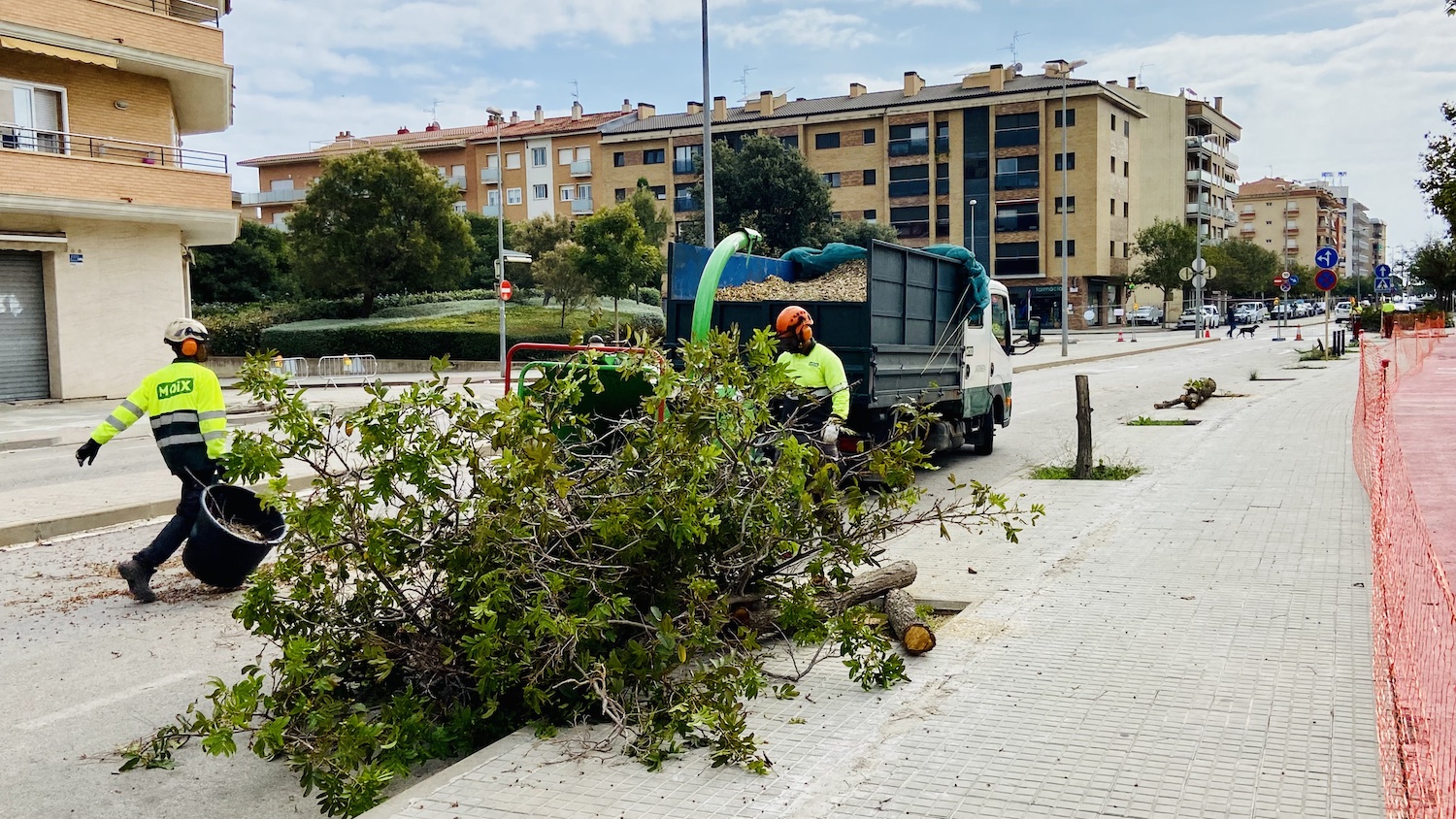 En marxa les obres per convertir l'avinguda Països Catalans en un corredor verd 