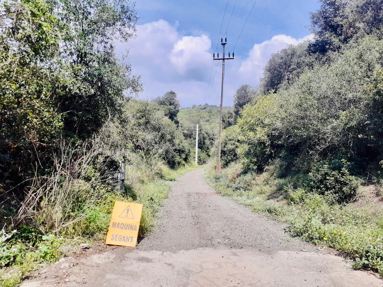 Treballs del pla de prevenció d'incendis en el Camí de Can Palomeres