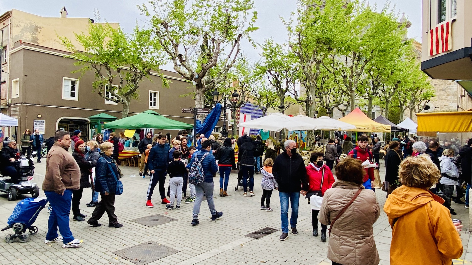 MalgrART: Parades de llibres i roses 