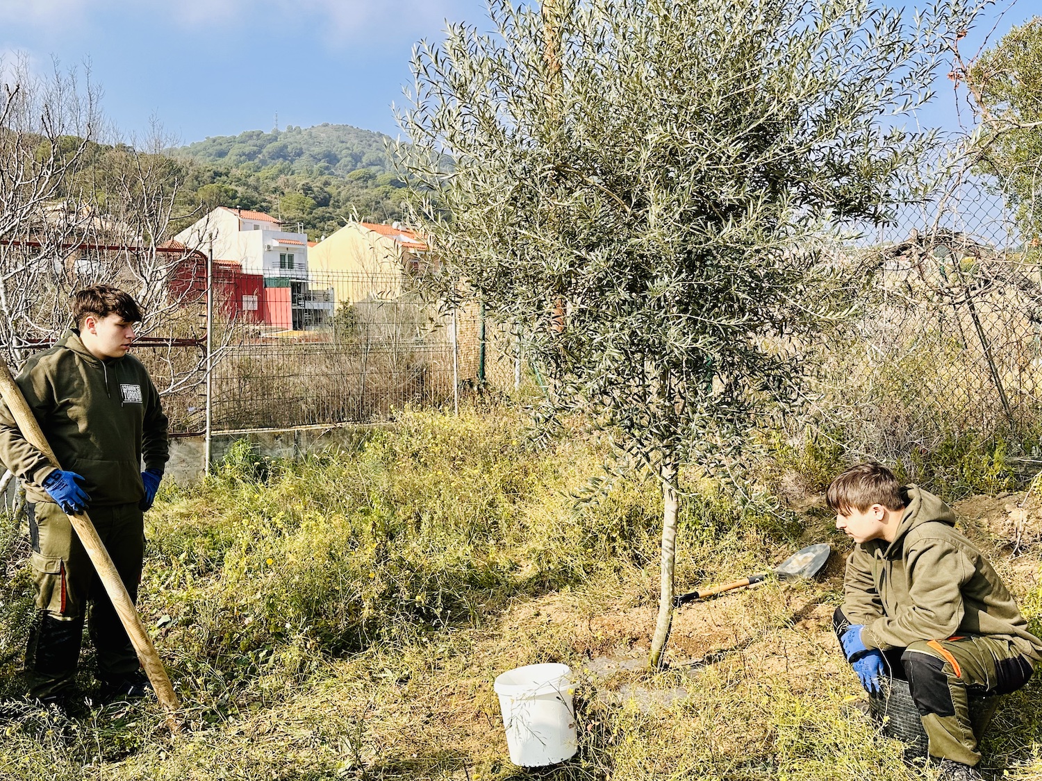 Alumnes de Jardineria de l'institut planten tres arbres al Molí de la Sal