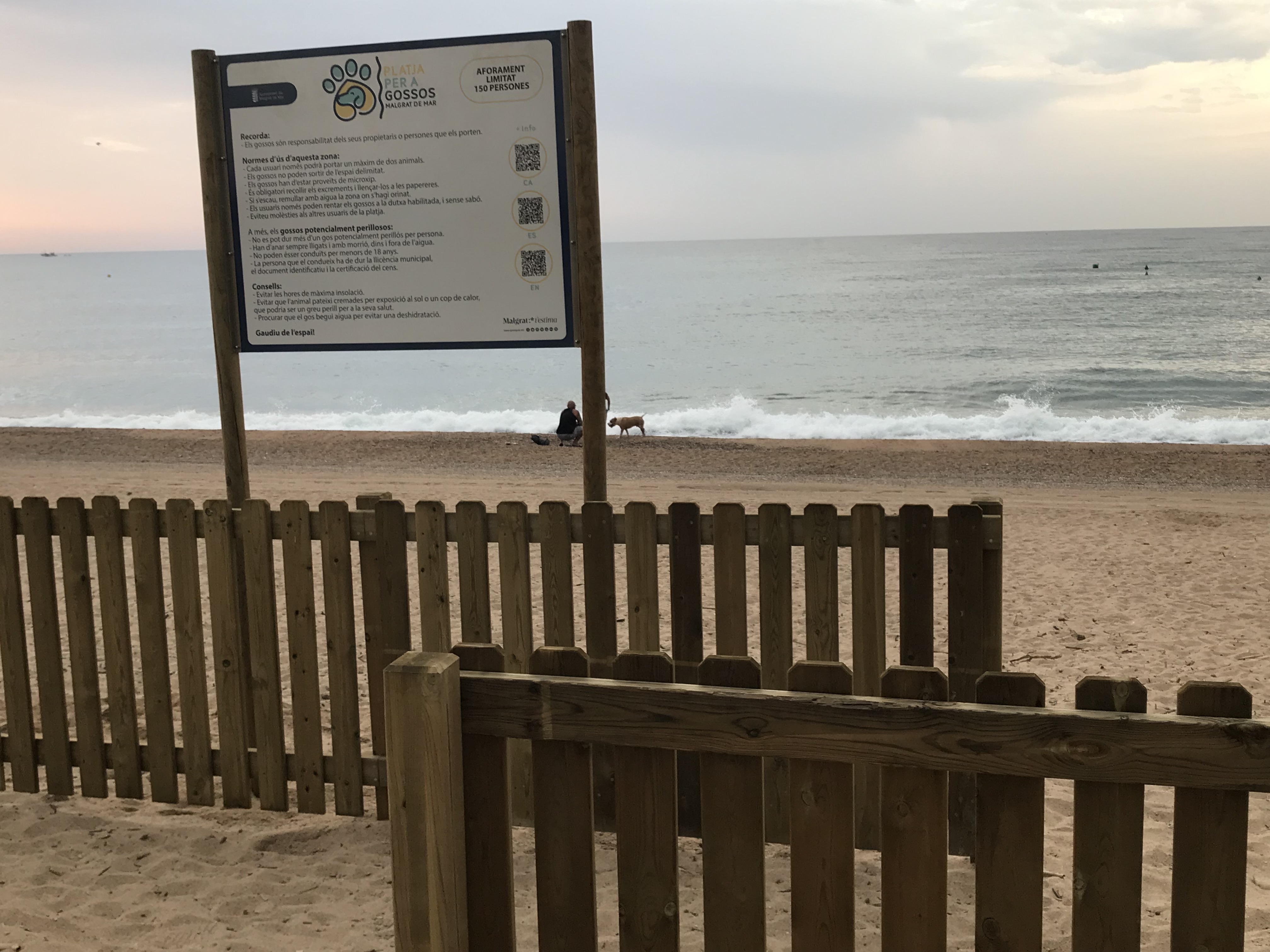 La platja de gossos comença la temporada