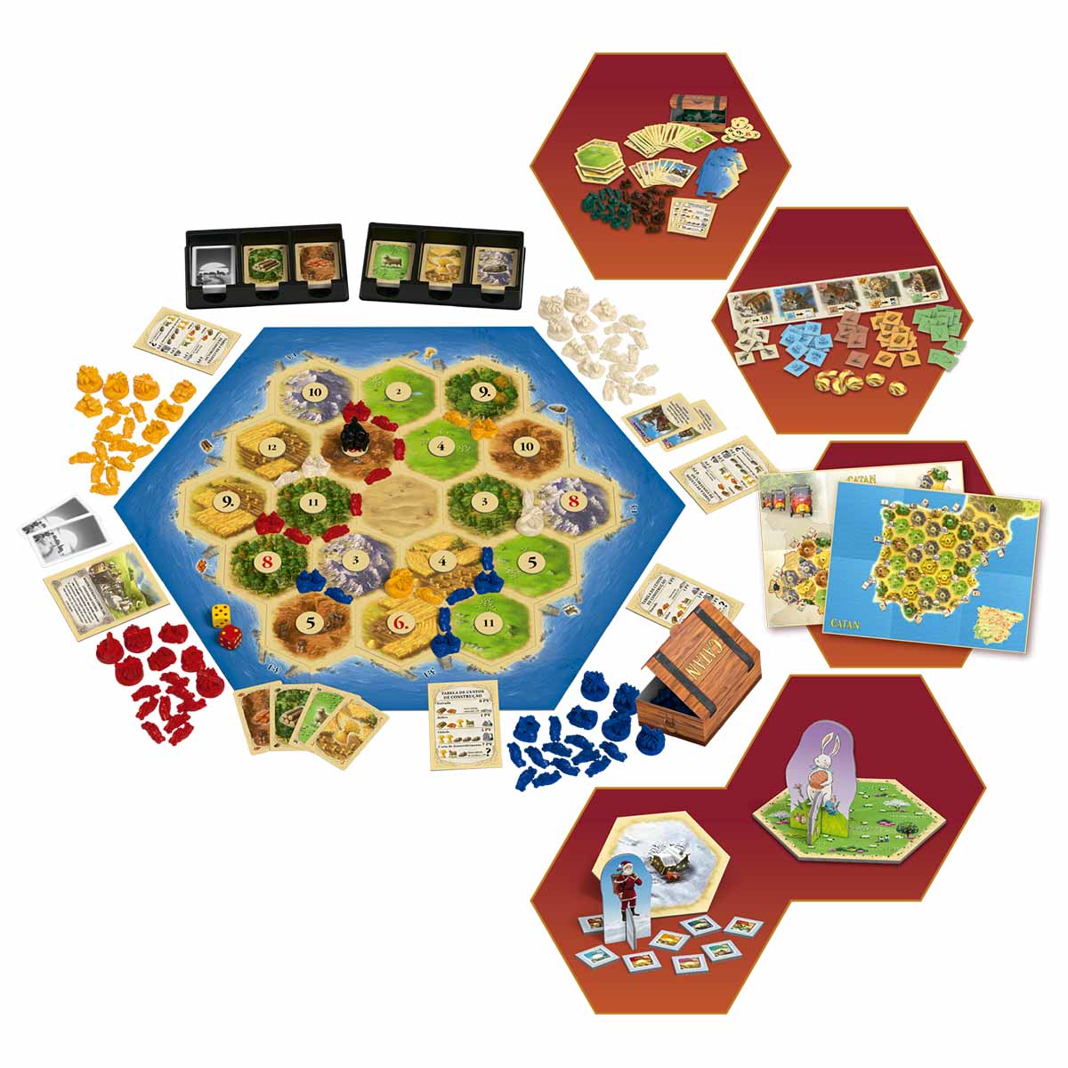 Festa major Sant Roc: Torneig de Catan 