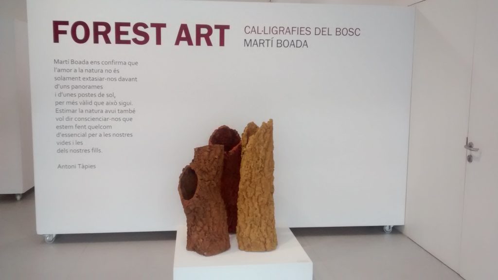 Exposició: 